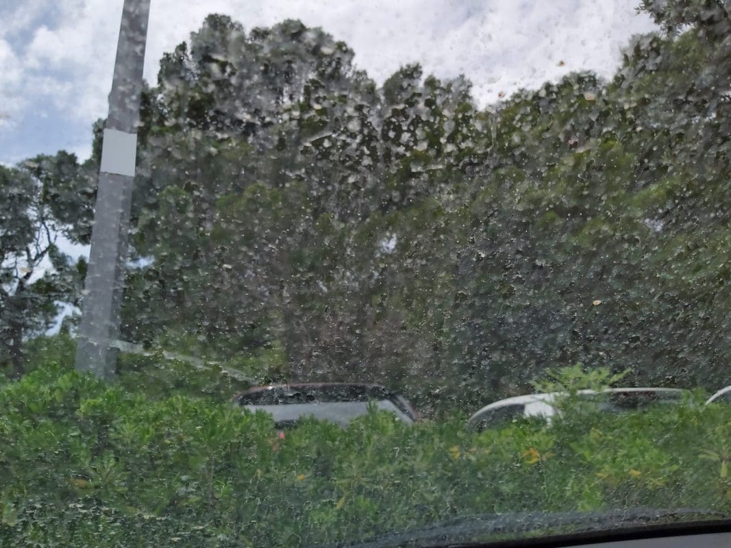 kisa pijesak pustinjski auti 2 