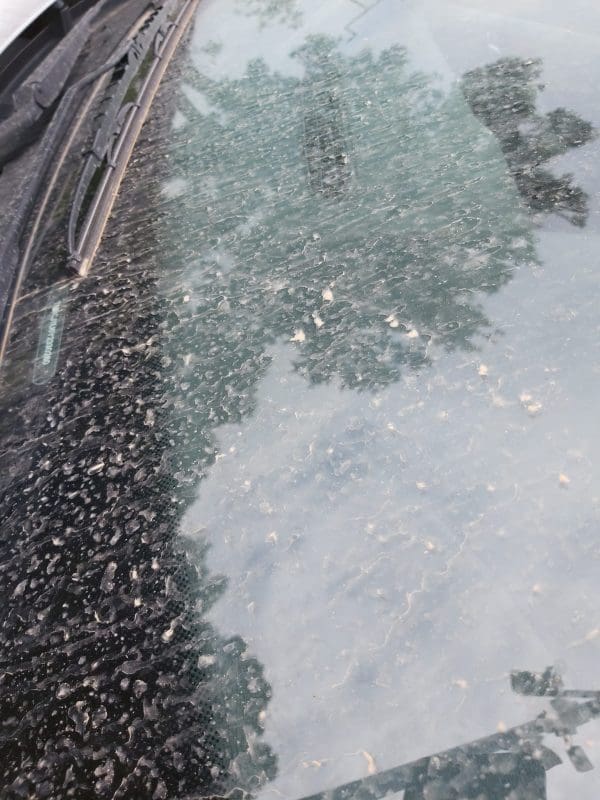 kisa pijesak pustinjski auti 3 