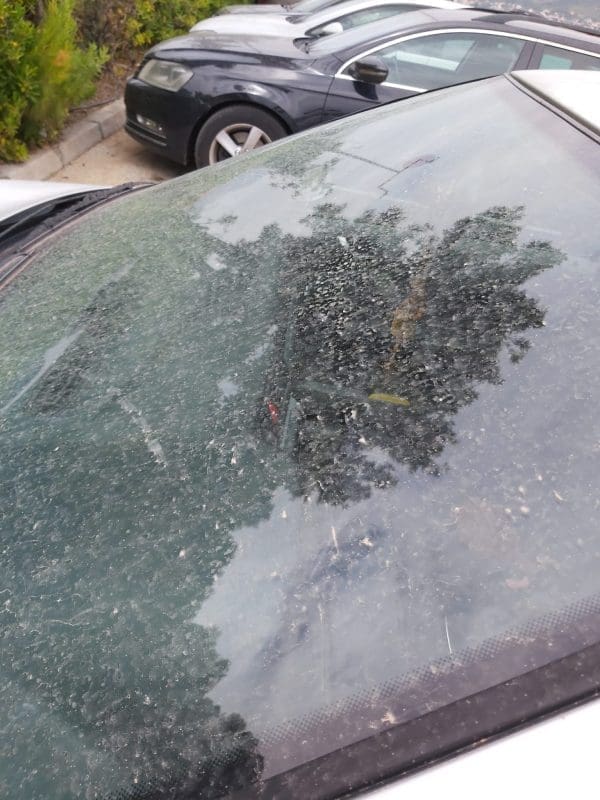 kisa pijesak pustinjski auti 4 