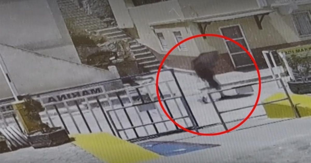 VEĆ NEKOLIKO DANA GA TRAŽE Misteriozni nestanak TV zvijezde digao na noge cijeli otok: ‘Ne razumijem zašto je krenuo baš tim putem‘