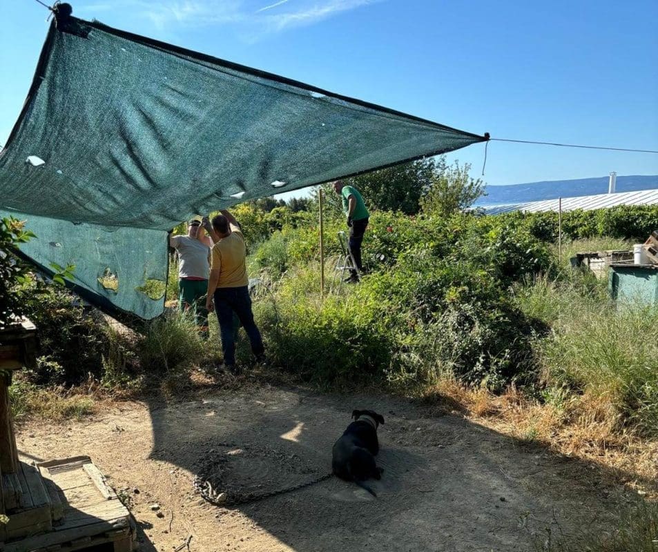 VETERINARSKA INSPEKCIJA NA DUILOVU "Jedina zamjerka je nedostatna zaštita od vremenskog utjecaja"