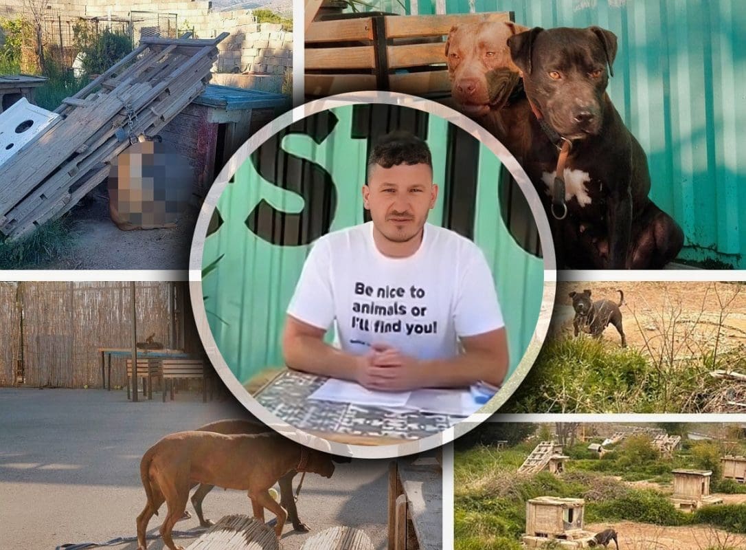 ZBRINJAVANJE "PSIHIJATROVIH" PASA GRAD SPLIT ĆE KOŠTATI 150 TISUĆA EURA Evo kada otvara privremeno prihvatilište na Karepovcu