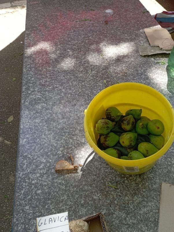 smokve splitski pazar nn naslovnica 6