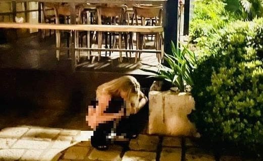 Poznata Hvaranka zgrožena turistima: "Vladavina svinja potopit će grad. Orwellova životinjska farma"