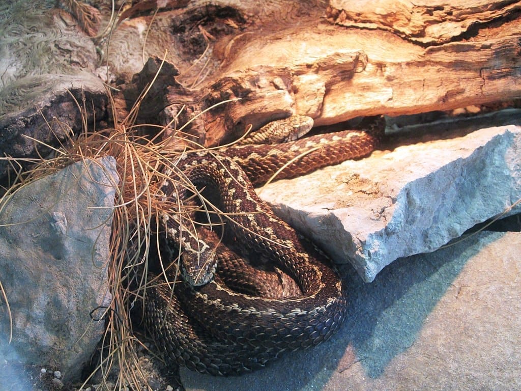 1024px Planinski utokrug