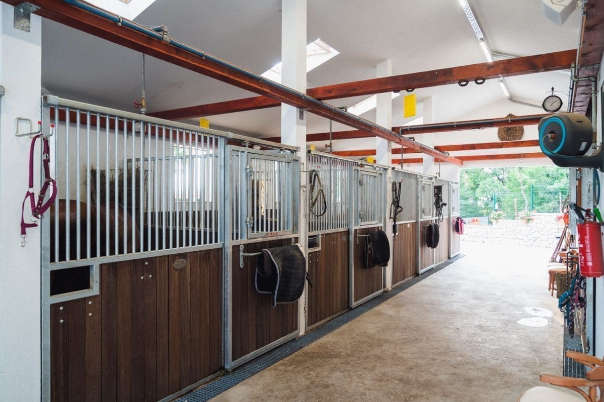 7 9 scuderia montana 2