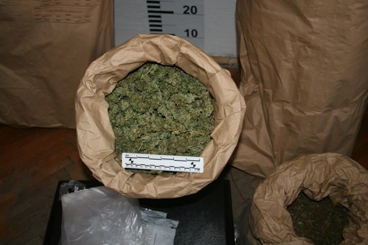 Makaranin "pao" sa skoro 300 grama marihuane