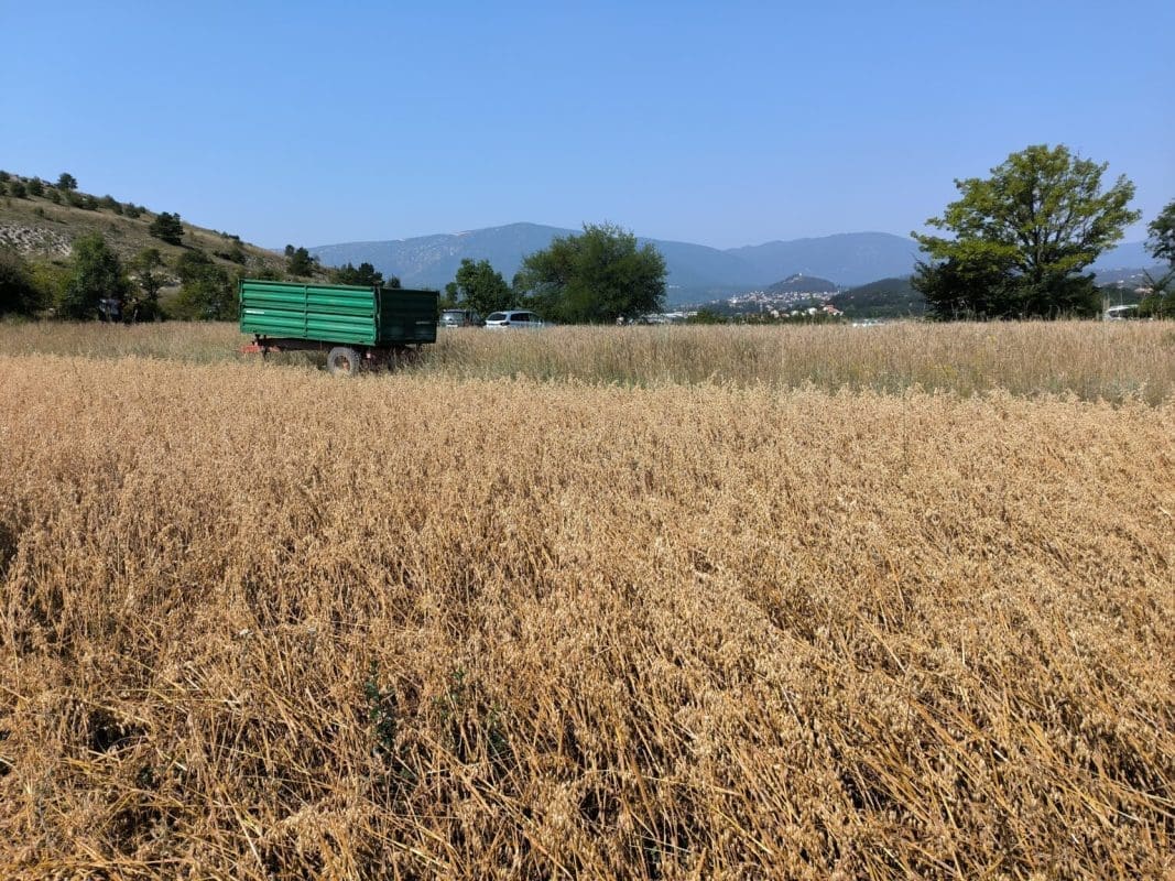 IMG 20240711 102258 1536x1152