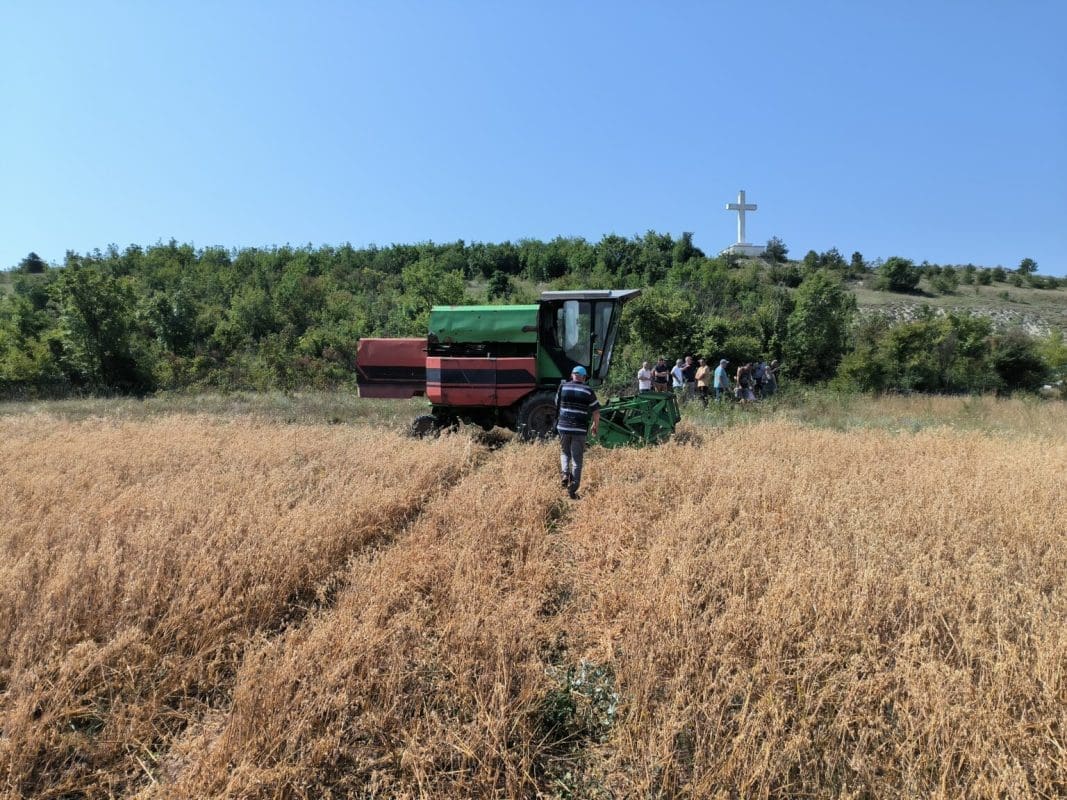 IMG 20240711 102408 1536x1152