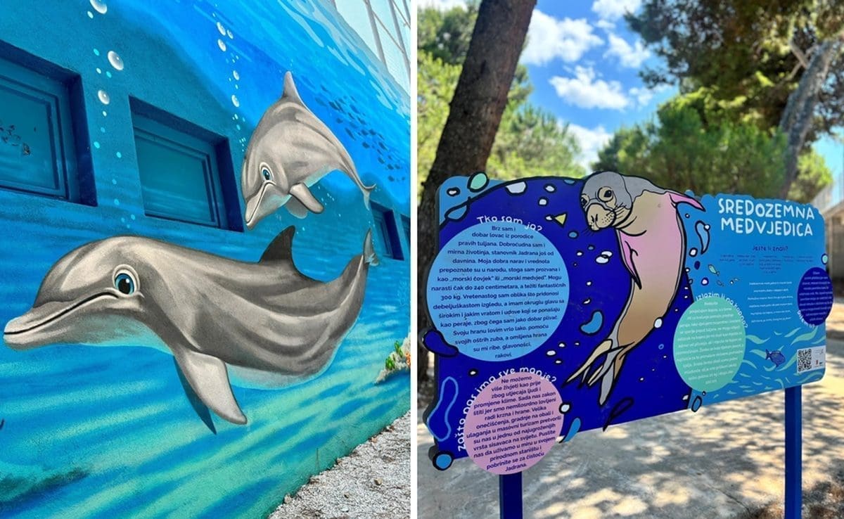 Ova prekrasna djela osvanula su u Supetru. Razlog je fenomenalan, evo što je otkrila gradonačelnica