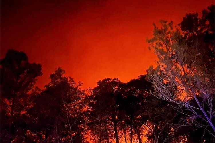 Pozar Skradin JVP Trogir 30 7