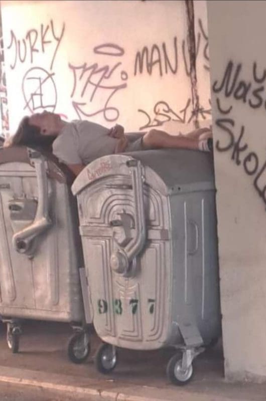 get getanima konejneri spava