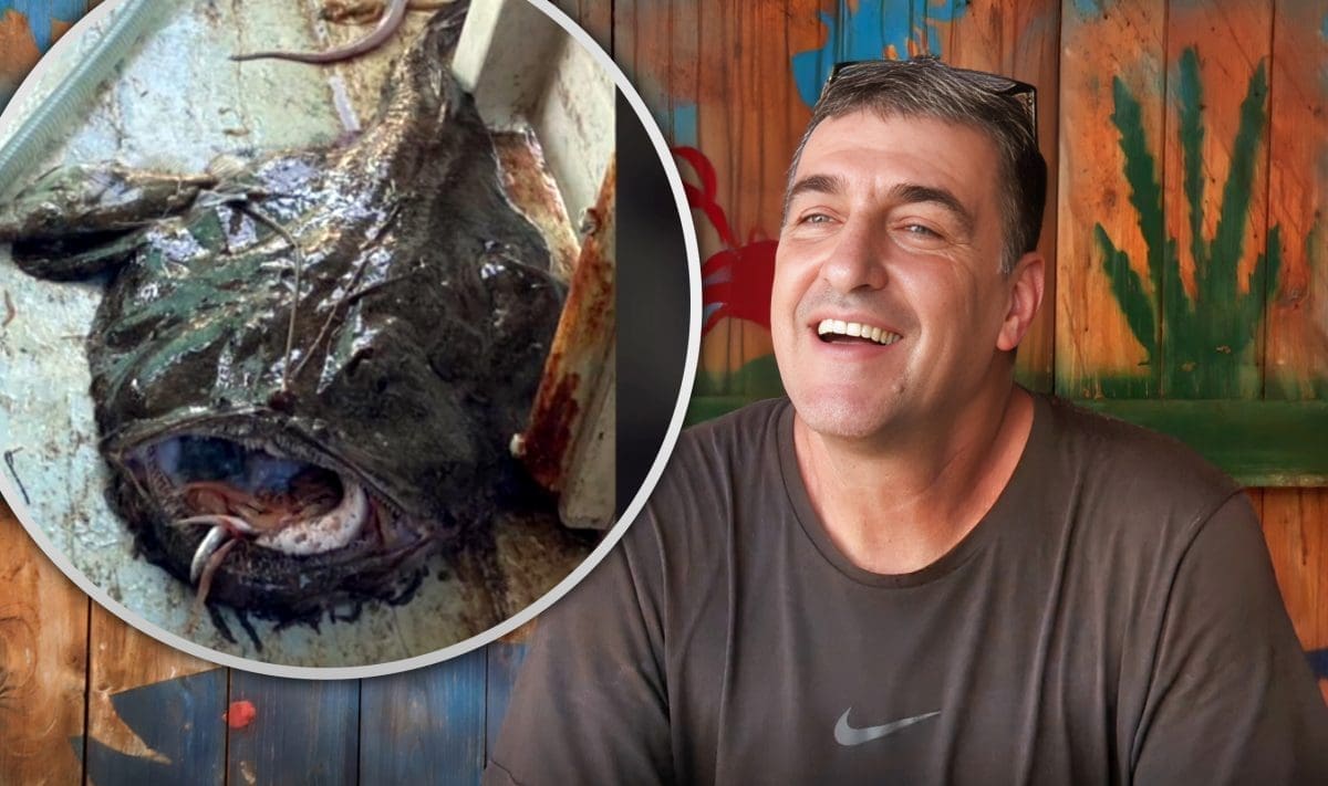 Južno od otoka Žirja ulovljena grdobina teška 25 kg, odmah prodana