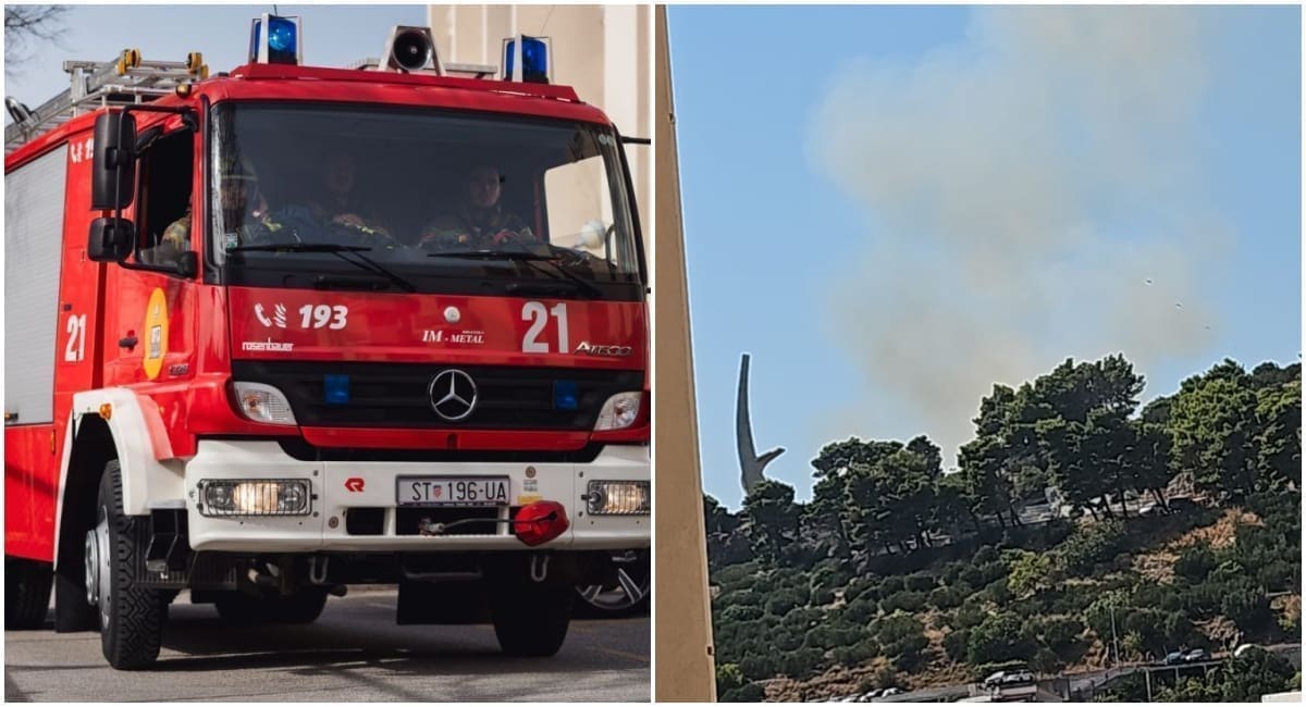 Požar u Podgori: Vatra je buknula iznad Galebova krila, vatrogasci su u akciji