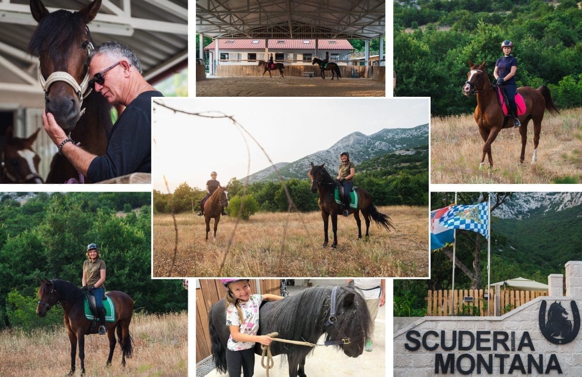 NA PADINAMA MOSORA JE NIKLO NEŠTO VELIČANSTVENO, ODUŠEVIT ĆE VAS Obitelj Uzinić podigla pravi ranč, nisu ni znali koliko će im promijeniti život: "Prvo smo ga htjeli za osobni gušt, a sada želimo da i drugi uživaju u jahanju"