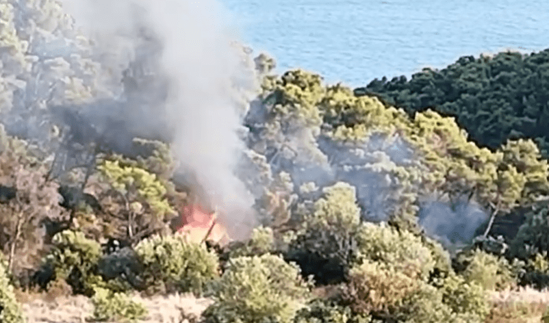 Ovako je izgledao početak požara u Segetu