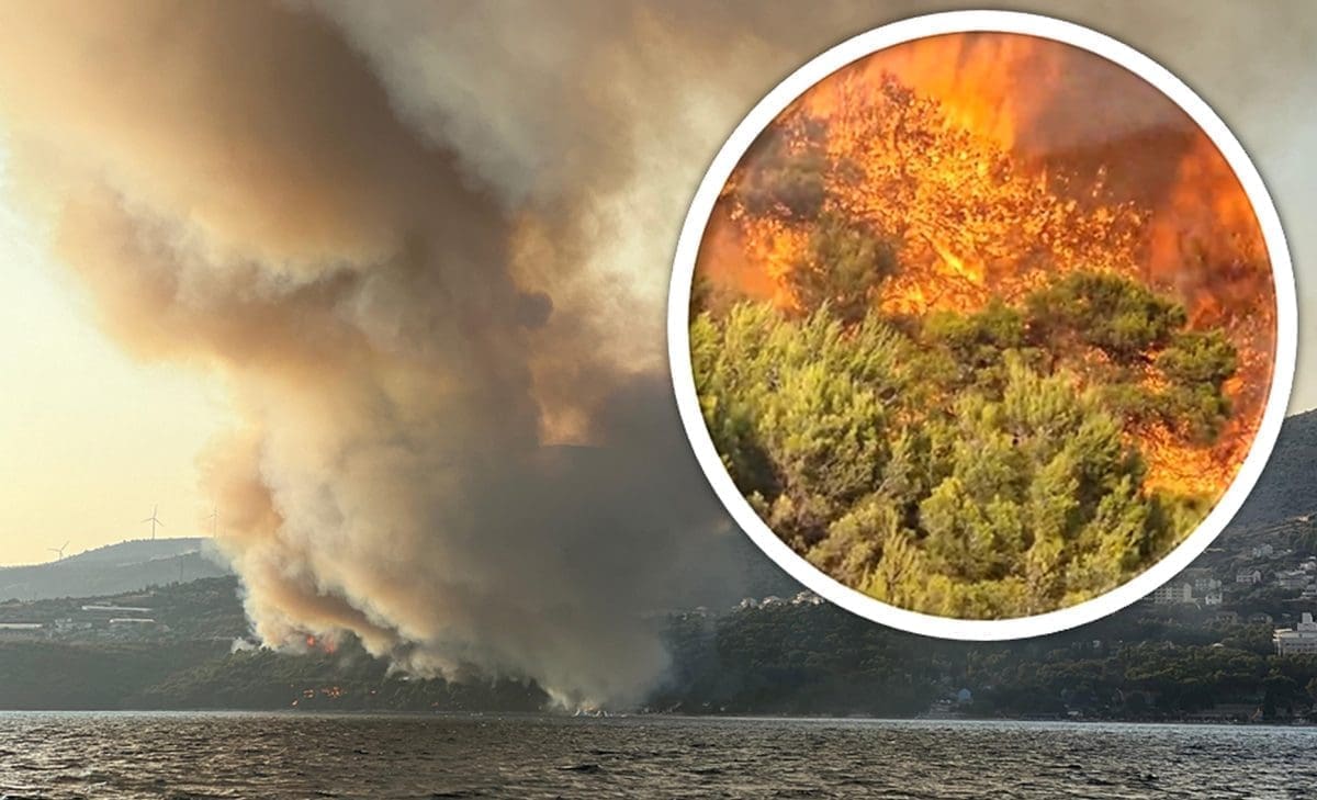 VIDEO Veliki požar u Segetu, vatrogasci su na terenu. Stiže pomoć iz Splita...