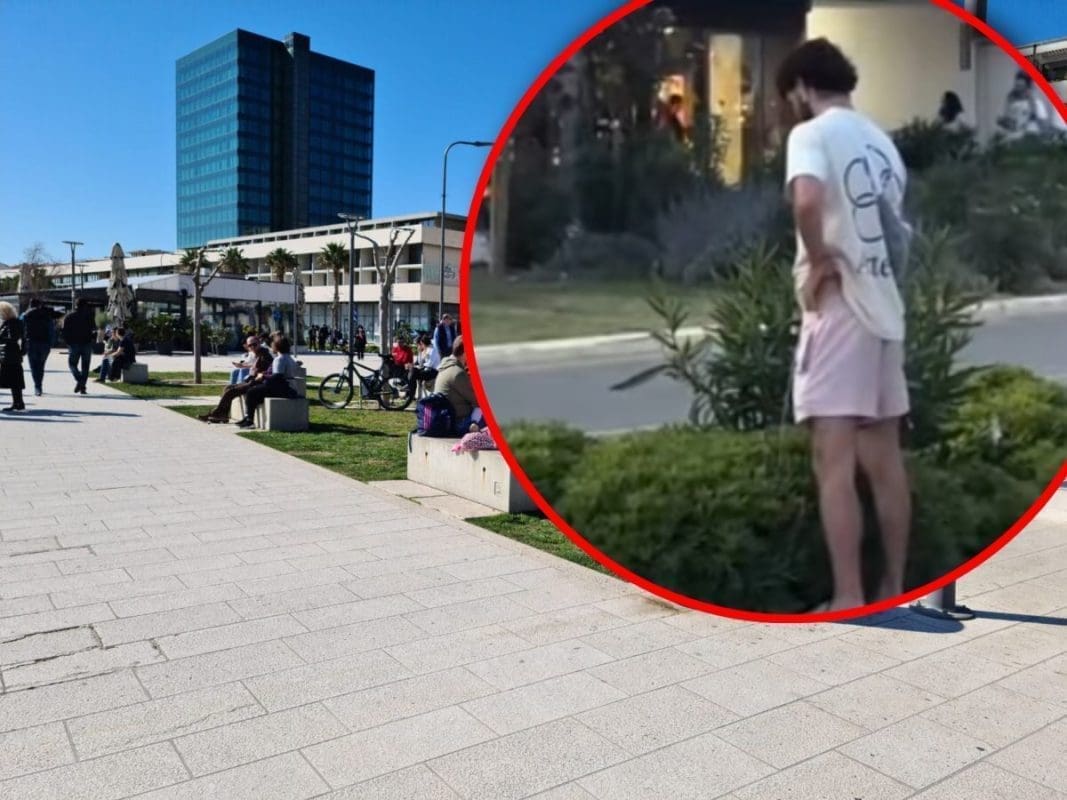 BESPLATNO ZALIJEVA ZELENILO PO ZAPADNOJ "West coast, ouu yes!"