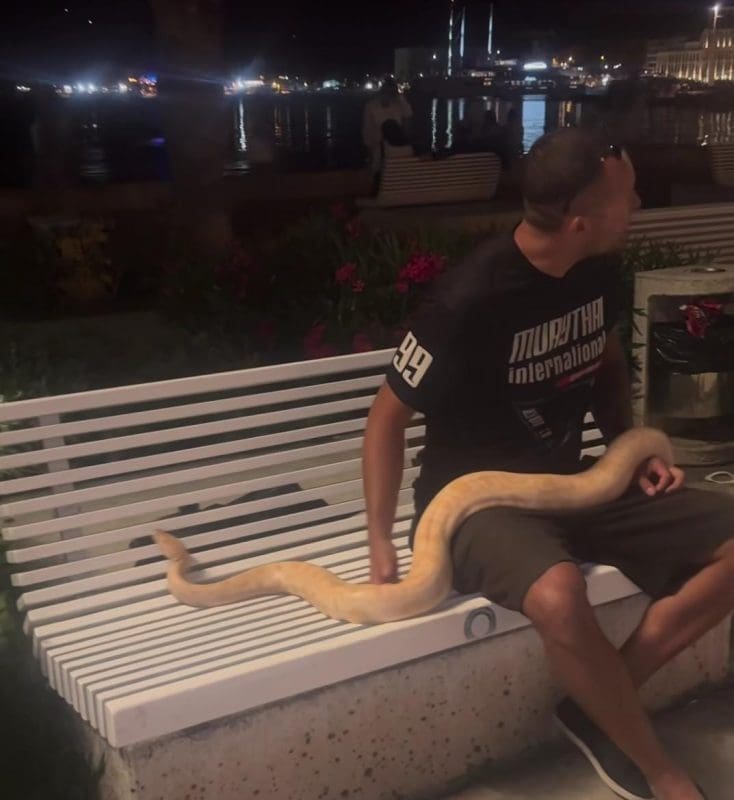 Netko je sinoć zvao policiju zbog ogromne zmije na Rivi