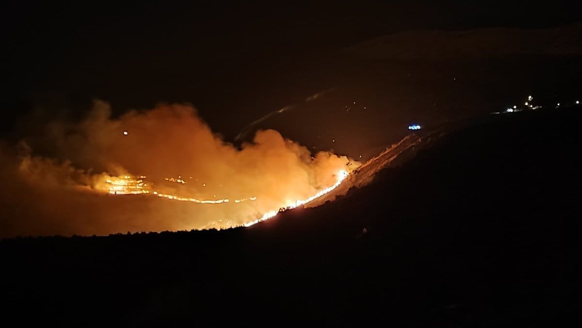 bcc2d9c8 ff08 494e 802b 42851675845a