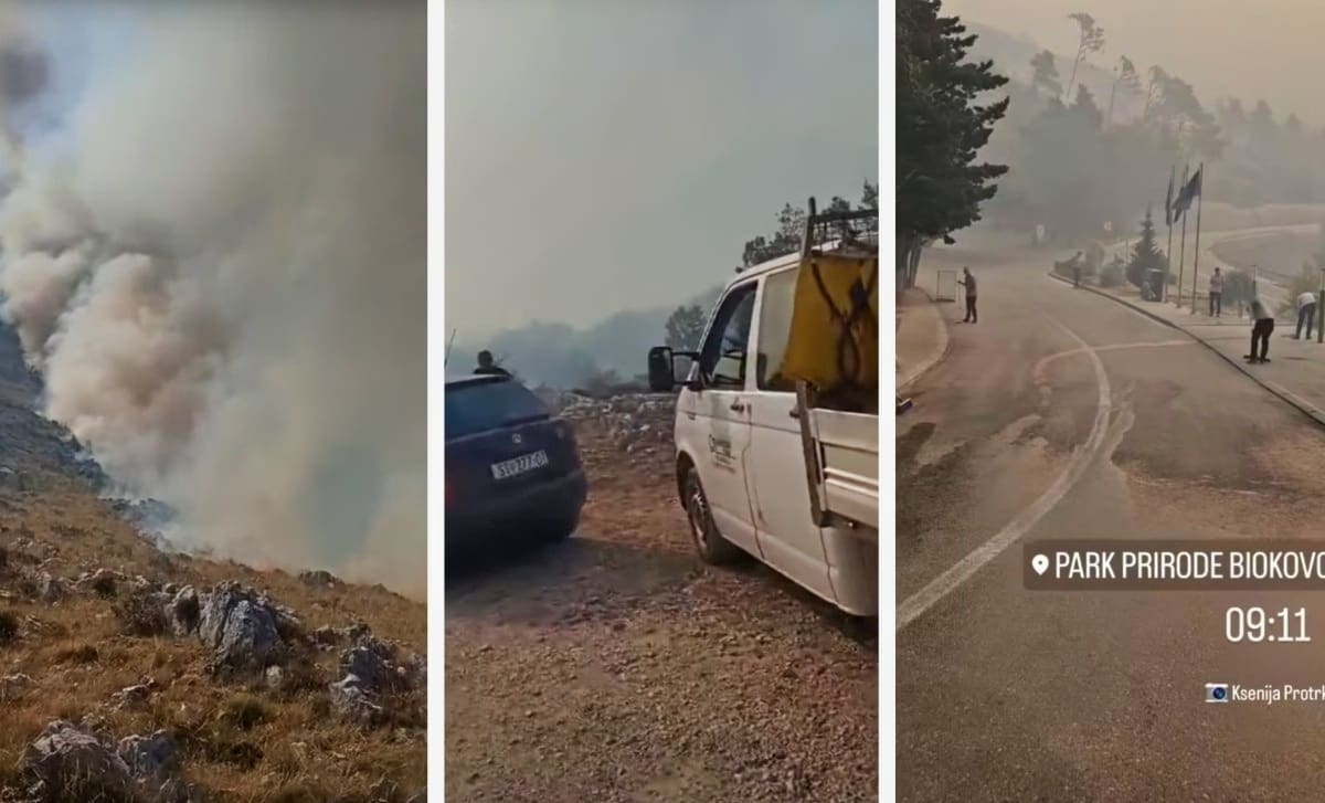 VIDEO Planinaru prekipjelo, na Biokovo se popeo s brentačom: "Optužujete pčelara, a krivac je netko drugi"