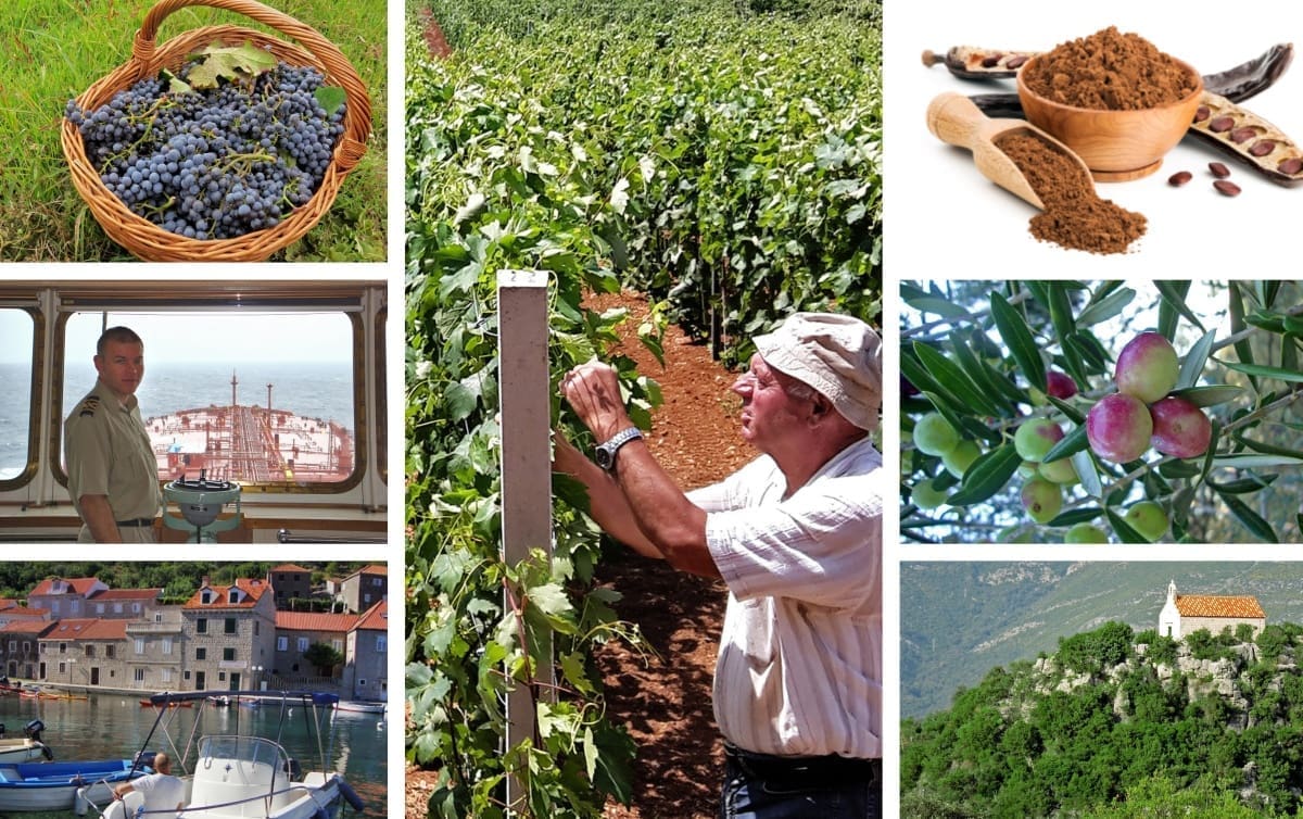 Kapetan Mato ocean je zamijenio motikom, svoju sreću našao je u u maslinama, rogaču i vinu: On i obitelj stvorili su poljoprivredni raj na Šipanu