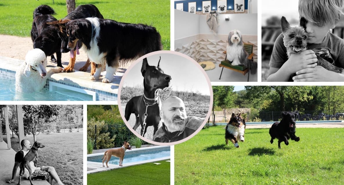 NADOMAK SPLITA OSVANUO LUKSUZNI HOTEL S BAZENOM ZA LAJAVE LJUBIMCE, JEDINI OVAKAV U HRVATSKOJ Obitelj Jukić osmislila je pravi raj za pse