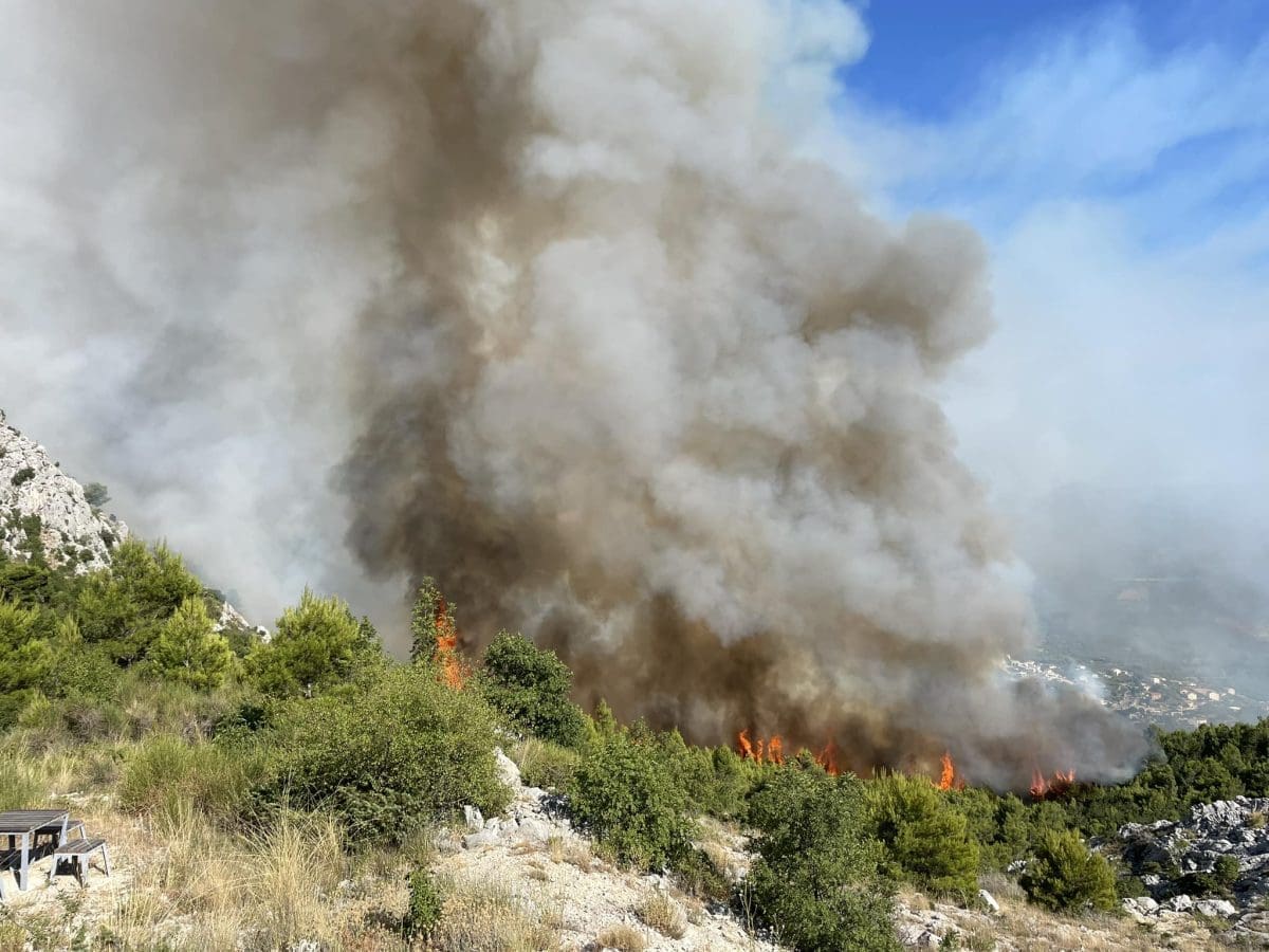 Četiri od pet požara u našoj županiji su podmetnuti, tri izazvala ista osoba: "Nisu svjesni koju štetu čine"
