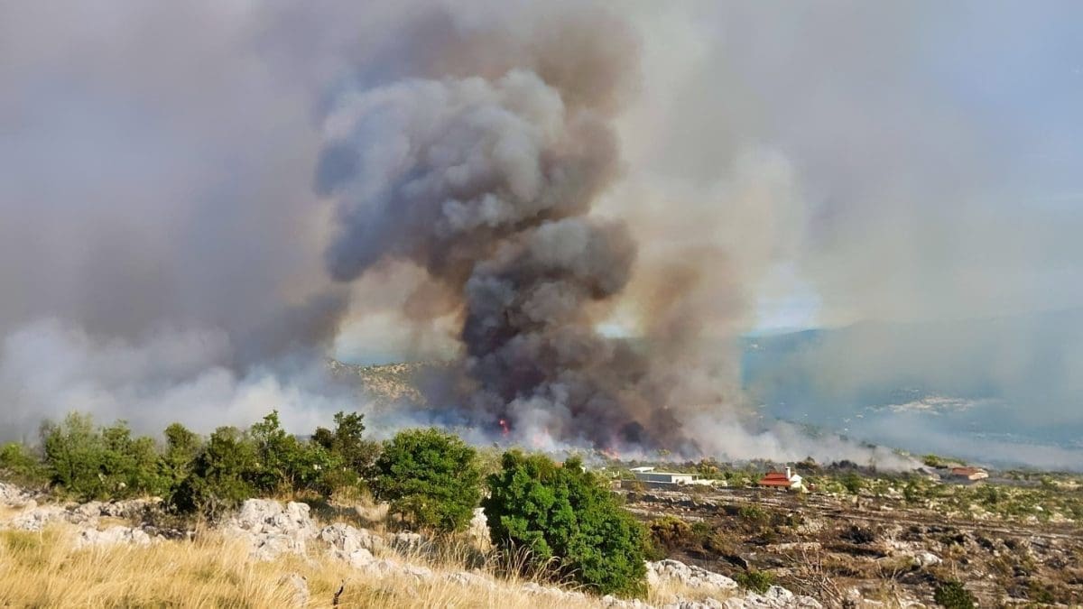 Joško sam gasi maslinik, kritičan je prema dijelu vatrogasaca