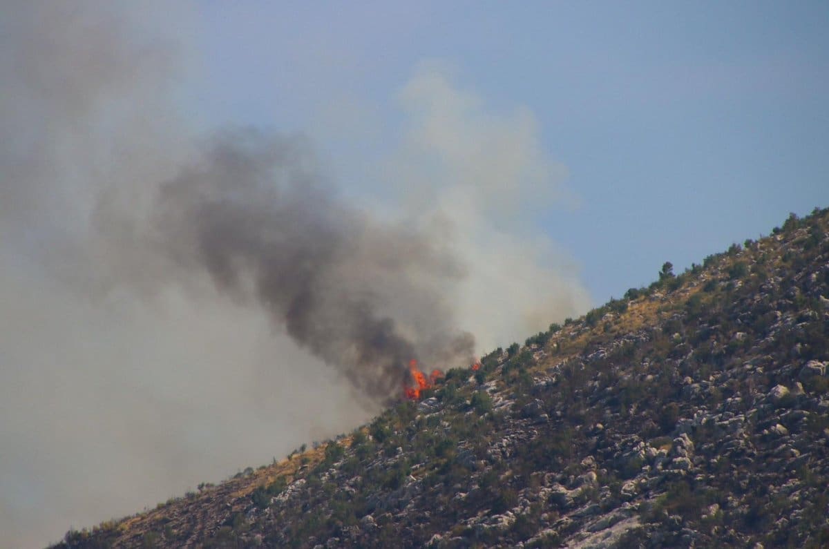 pozariste zrnovnica srinjine sitno 42