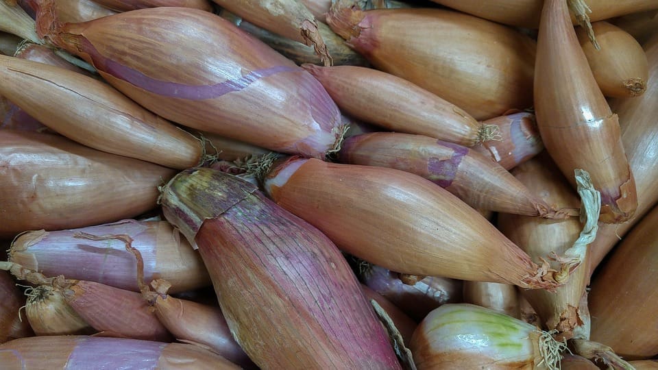 shallots 2289469 960 720