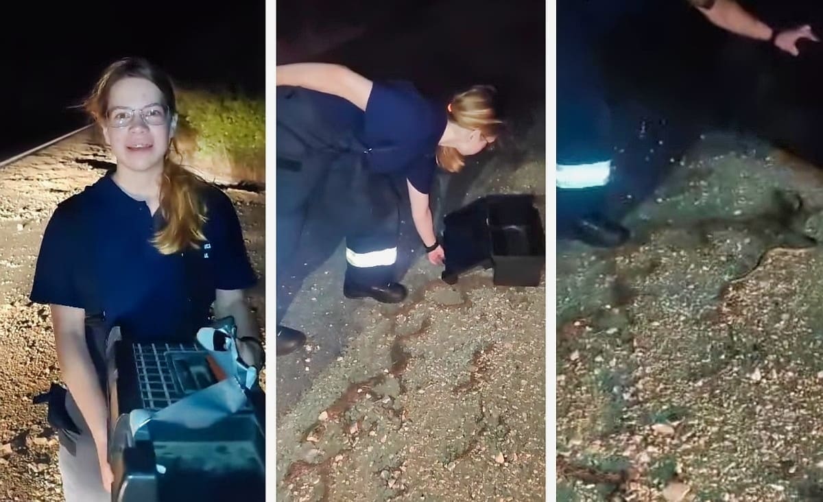 VIDEO Brački vatrogasci uhvatili zmiju u kući, ono što je učinila vatrogaskinja Maja mnoge je oduševilo