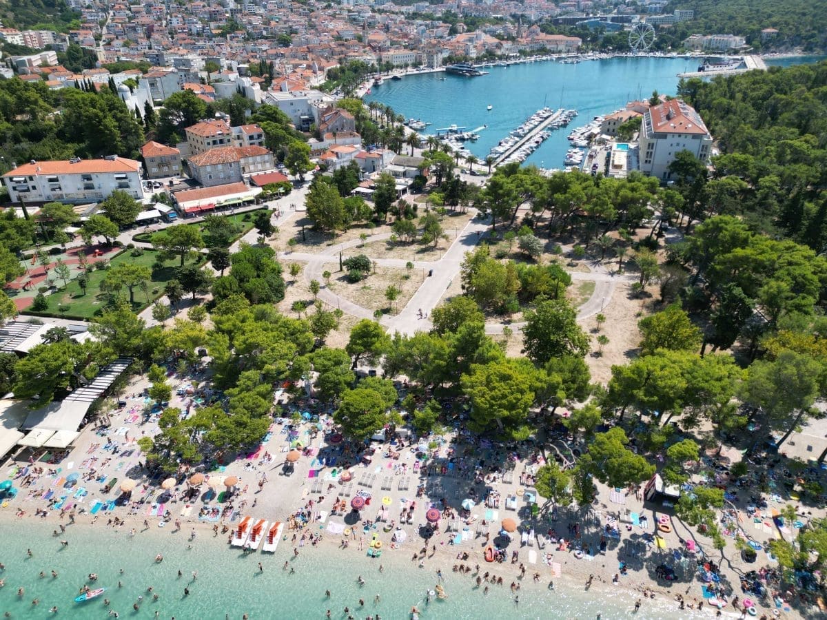 SVE ZELENIJA MAKARSKA Treću godinu zaredom ostvaruje se plan 100 stabala u 365 dana