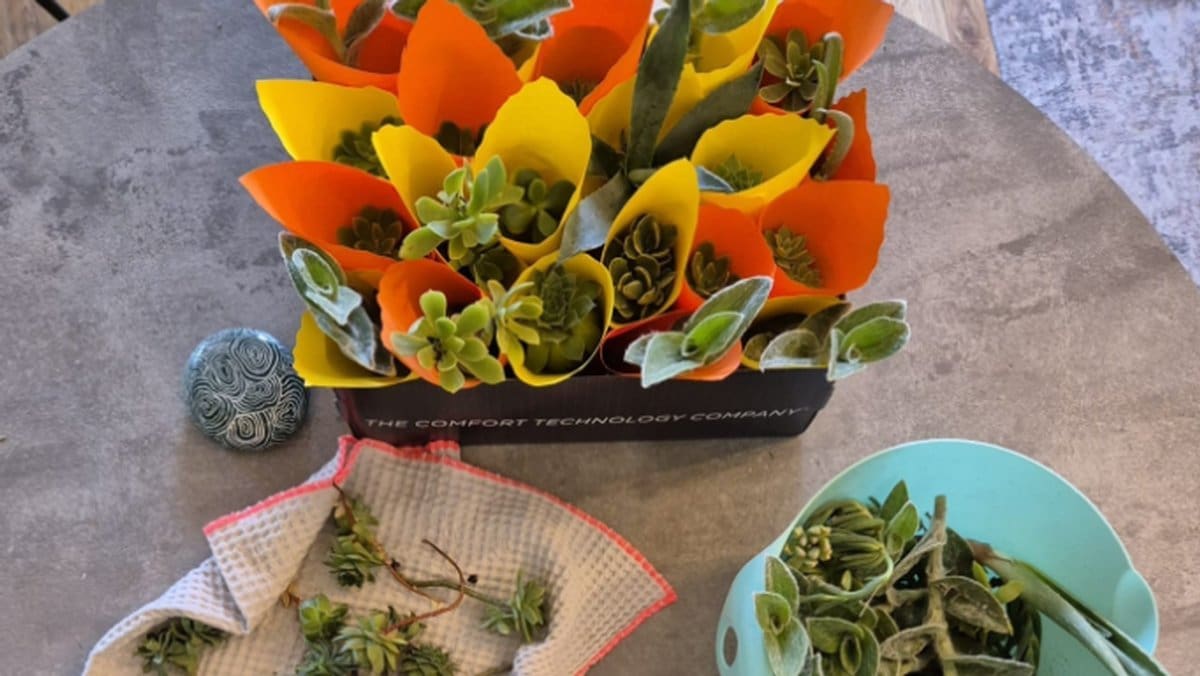 Dođite sutra u Đardin i podržite rad vrijedne splitske udruge