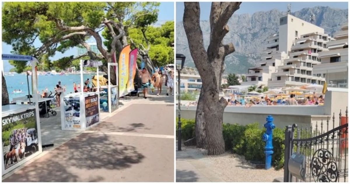 Dalmatinac o ponašanju turista u Makarskoj: "Ovo mi nikad neće biti jasno"