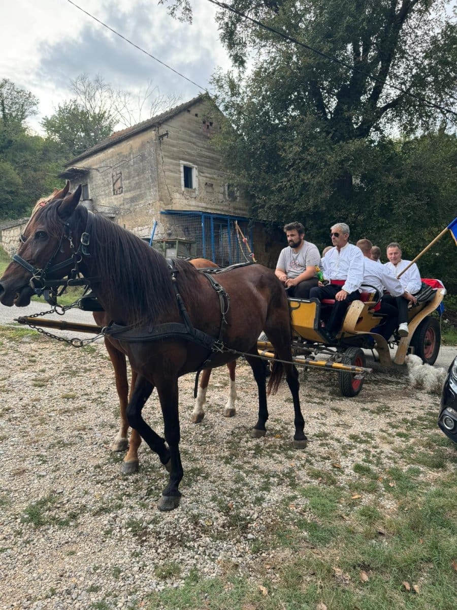 filip sara prosnja 1