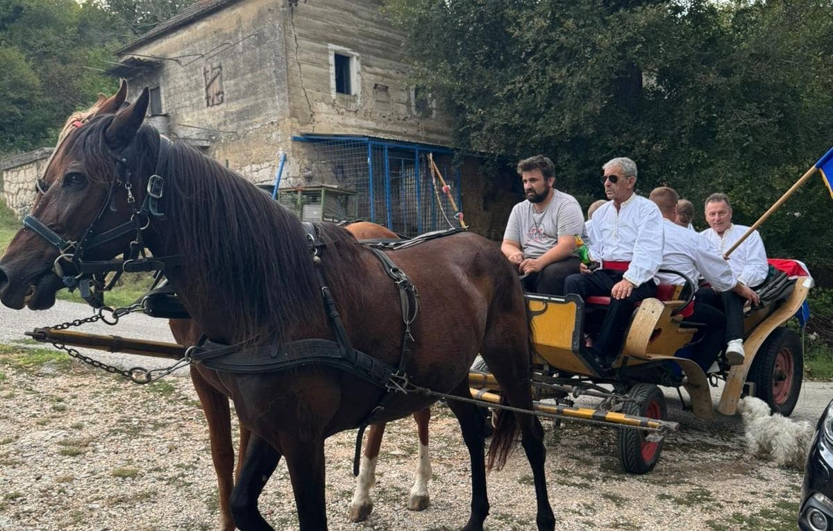 FILIP ZAPROSIO SARU Ovakva prošnja se ne viđa često