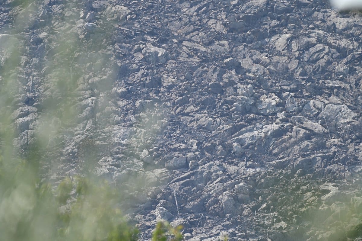 pozar izgoren teren 9