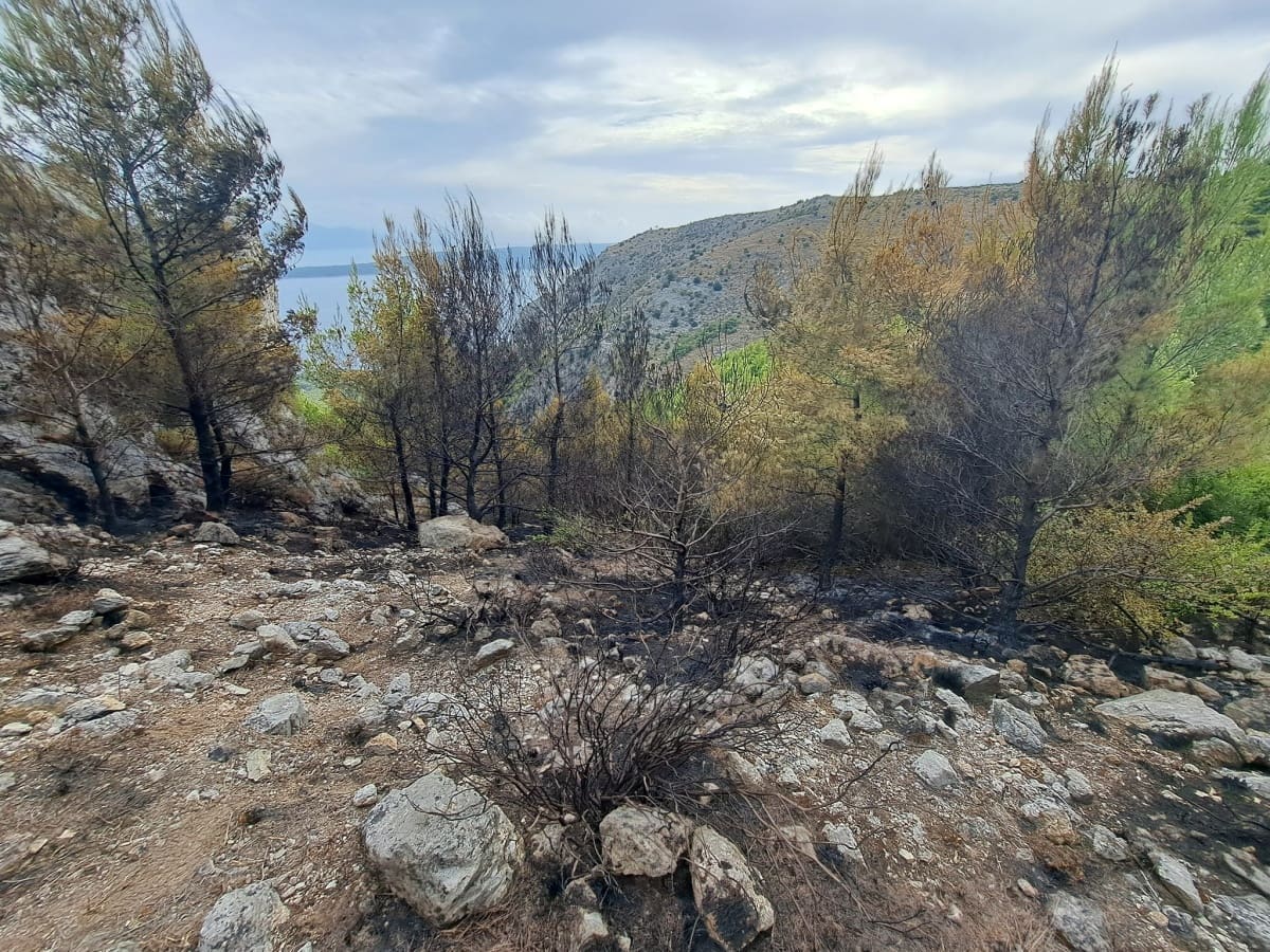Vatrogasci se oglasili o požaru u Živogošću, područje se nadzire do daljnjeg