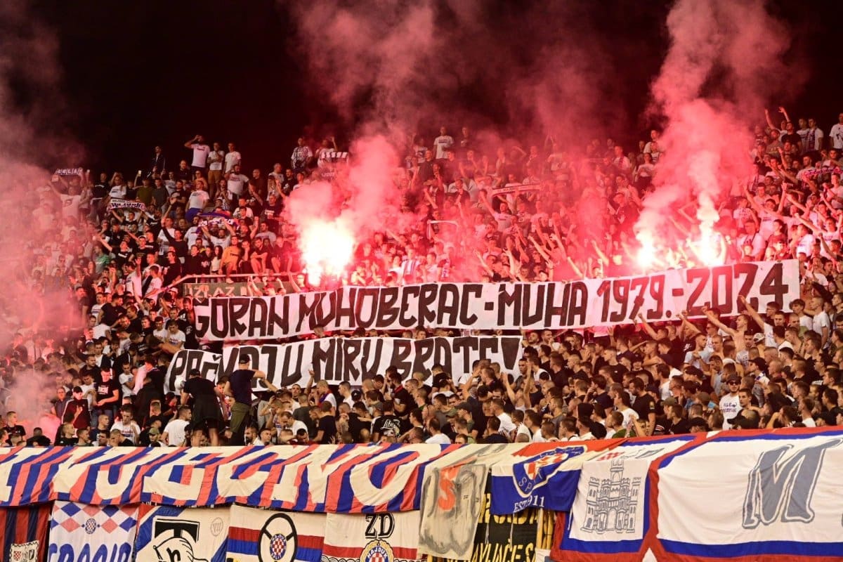 transparent bakljada foto roko 1