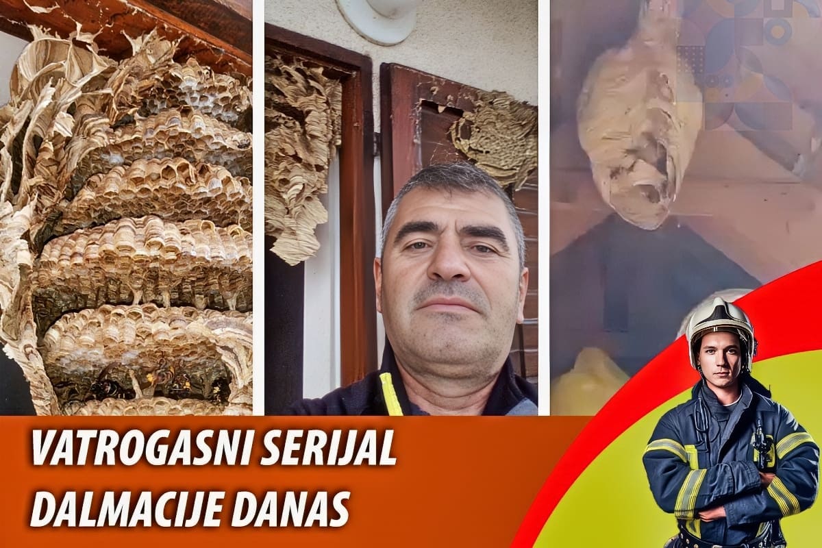 VIDEO Dujo je graditelj suhozida, planinar, speleolog, vatrogasac, pčelar, ali i "šaptač" stršljenovima: "Navikao sam na ubode, očito sam stvorio imunitet"