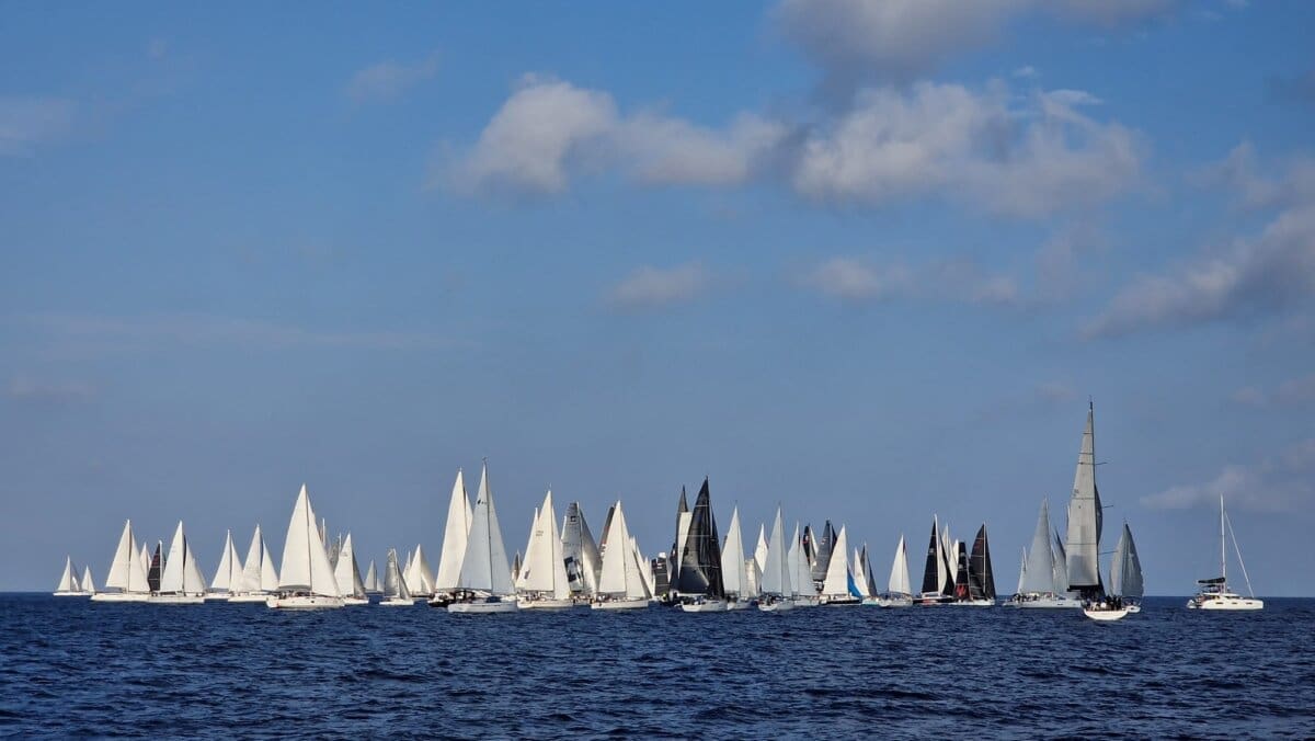 PRIJAVE ZA 80. VIŠKU REGATU OTVORENE SU DO SRIJEDE 16. LISTOPADA Rekordan broj sudionika na ovogodišnjoj jubilarnoj 80. Viškoj regati