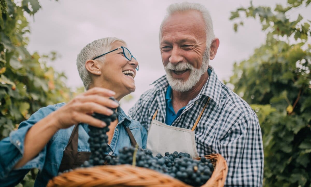 Ako želite imati pristojnu mirovinu, počnite raditi ovo dok ste još radno aktivni
