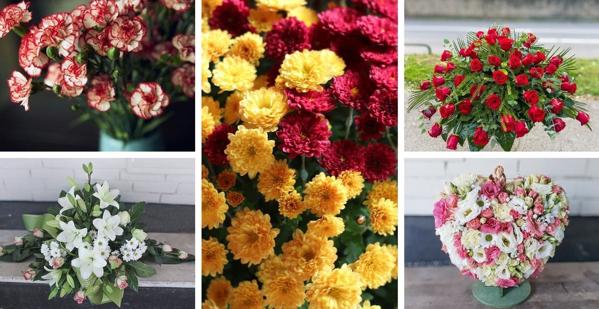 Ususret Danu mrtvih i blagdanu Svih svetih: Koje cvijeće odabrati?