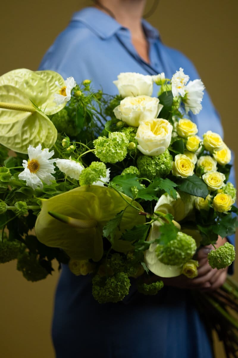 cvjecarnica tulipa 5