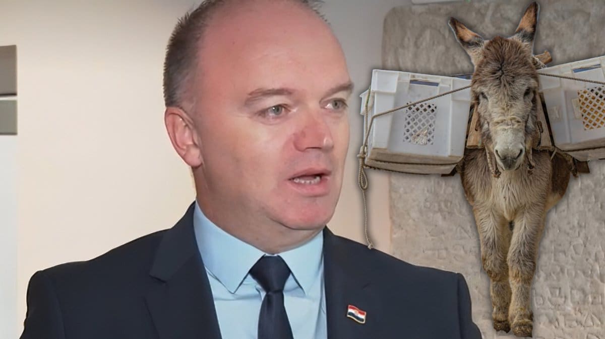 Ministar Šipić: "Za magarca dajemo 311 eura, a za dijete 309 – tko će čuvati te magarce za par godina?"