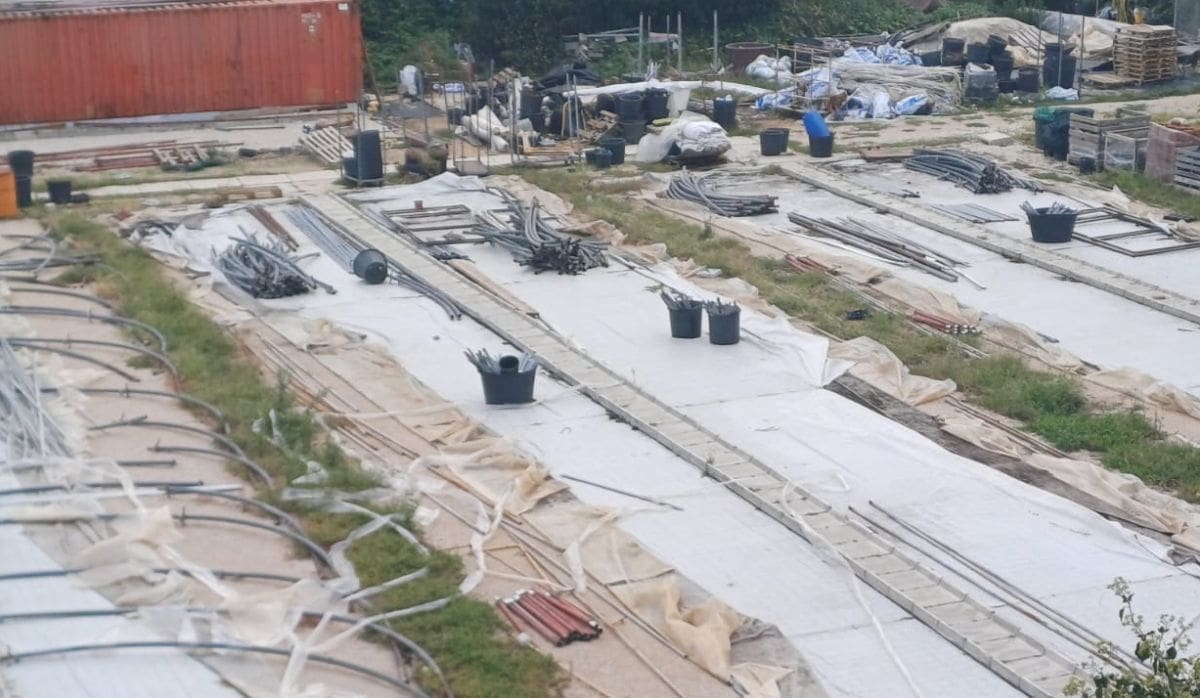 Počelo veliko uklanjanje na Marjanu, iz Park šume poručili: “Napokon”