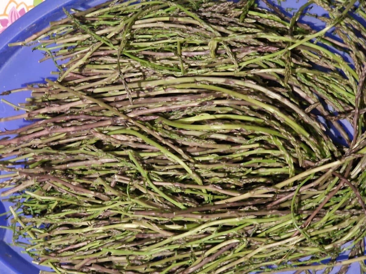 Evo kako čuvati šparoge da ostanu svježe i hrskave danima