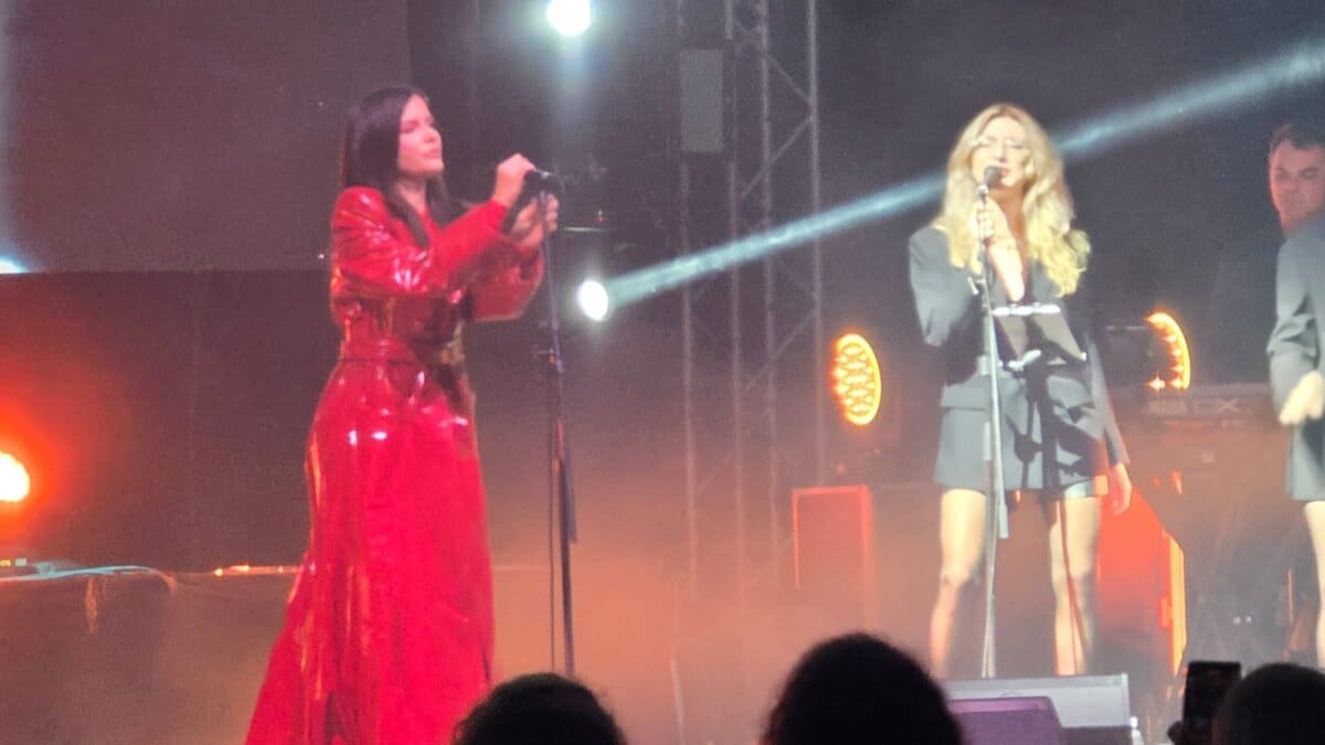 vesna pisarovic gripe 1