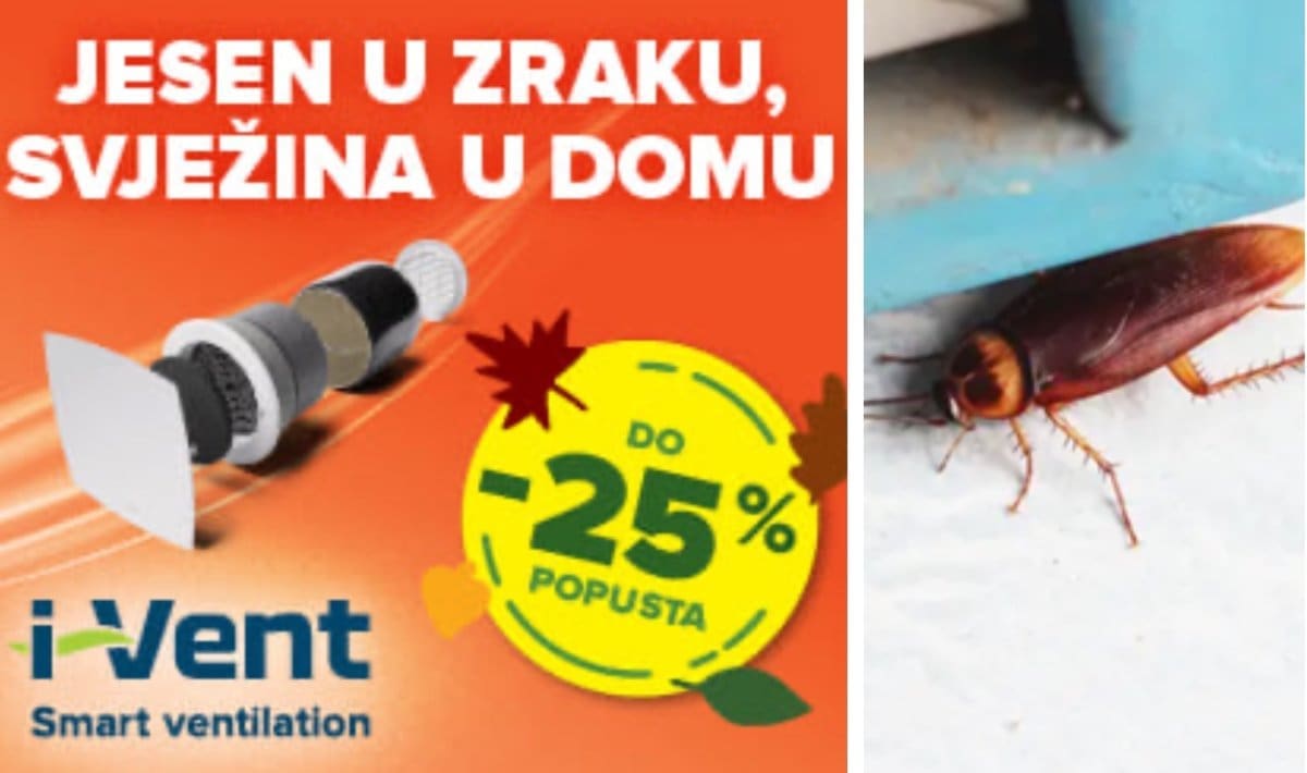 Višak vlage, bube u kući!